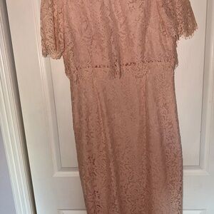 Elegant Lace Dress in Blush Pink